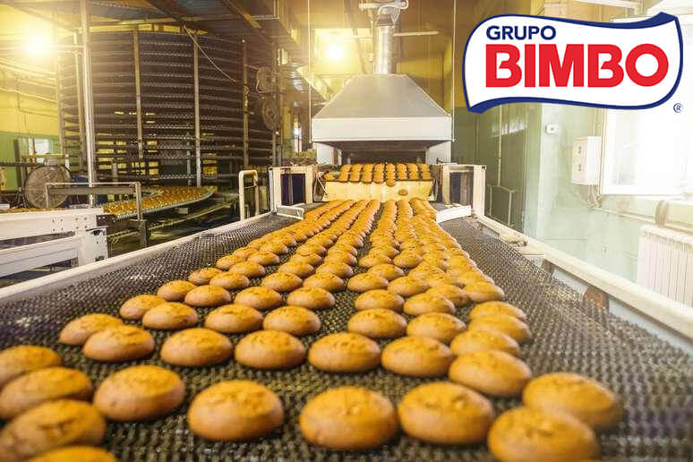 Bolsa de empleo bimbo